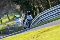 Oulton-Park-20th-March-2020;PJ-Motorsport-Photography-2020;anglesey;brands-hatch;cadwell-park;croft;donington-park;enduro-digital-images;event-digital-images;eventdigitalimages;mallory;no-limits;oulton-park;peter-wileman-photography;racing-digital-images;silverstone;snetterton;trackday-digital-images;trackday-photos;vmcc-banbury-run;welsh-2-day-enduro